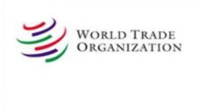 Talks on Russia's accession to WTO continue in Geneva
