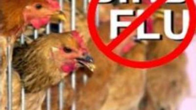 Bird flu in Moscow region contained 