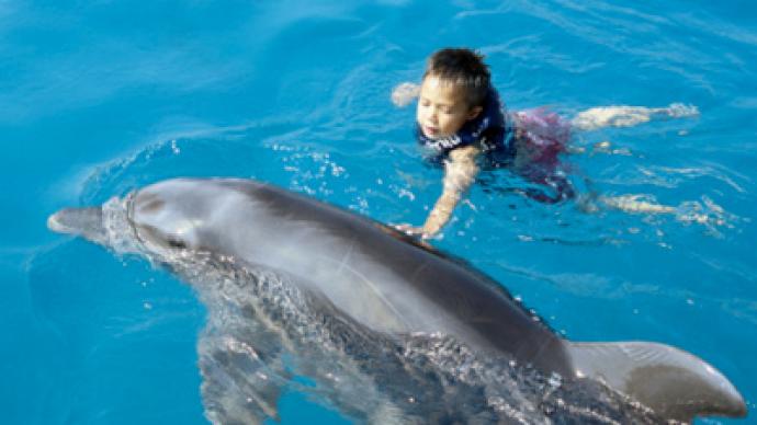 City Hall pulls plug on doctoring dolphins
