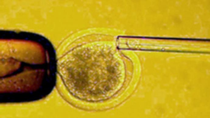 First GM human embryo raises fears of designer babies