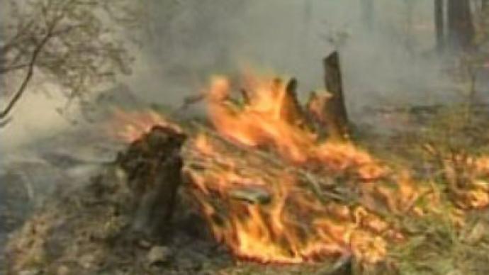 Forest fires break out in eastern Siberia