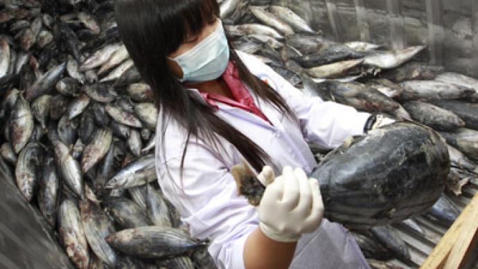 Fukushima fish carrying 258 times the 'safe' level of radiation