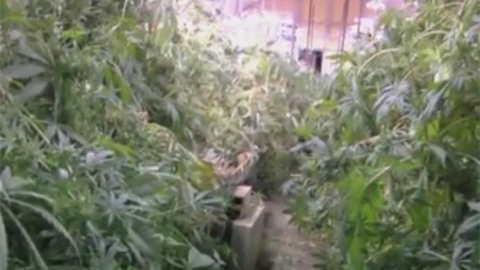 Pot palace: Cops seize 340kg of marijuana in abandoned Rome subway tunnel