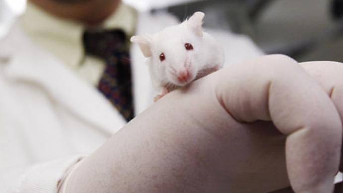 Injection helps blind mice see: Humans next?