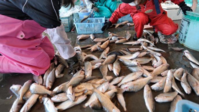 Radioactive cesium found in Japan’s fish, seawater