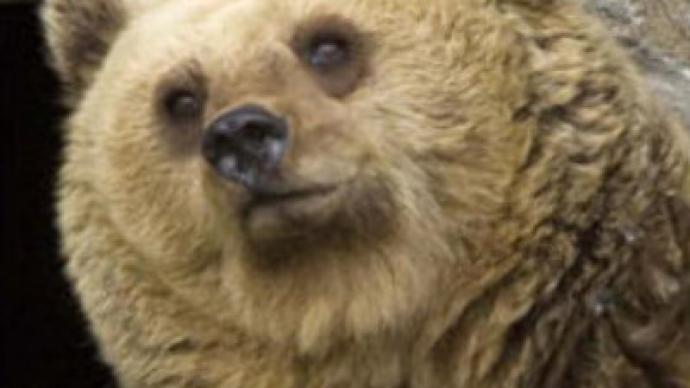 Romania:  Bear mauls U.S. tourists, 1 dead (CNN.com)