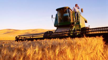 Russia’s grain exports might be tarriffed since April
