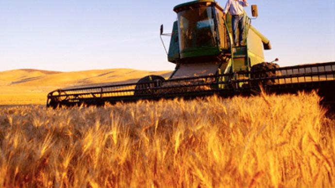 "Resumption of Russian grain exports will stabilize market"