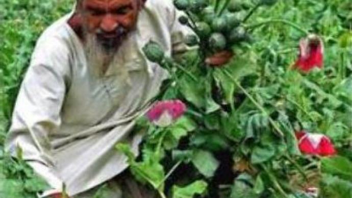 Senlis Council suggests new approach to Afghanistan drug trade problem