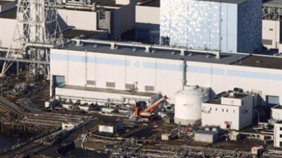 Facts on Fukushima plant key to emergency plan – former US governor
