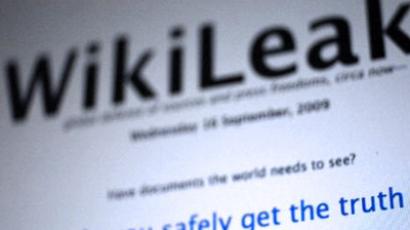 Nobel Prize could protect WikiLeaks founder - Kremlin source