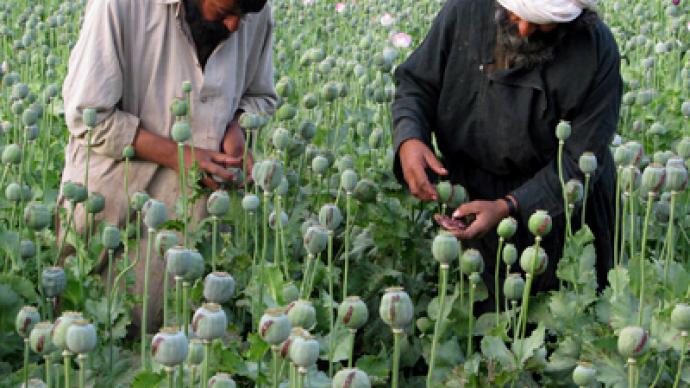 Heroin harvest: NATO losing Afghan war on drugs