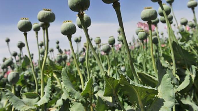 Russia calls for NATO cooperation in kicking heroin habit