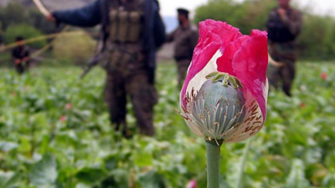 Russia slams NATO for losing Afghan opium war
