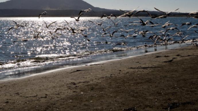 Russia’s sovereignty over South Kurils irrefutable, Moscow tells US, Japan