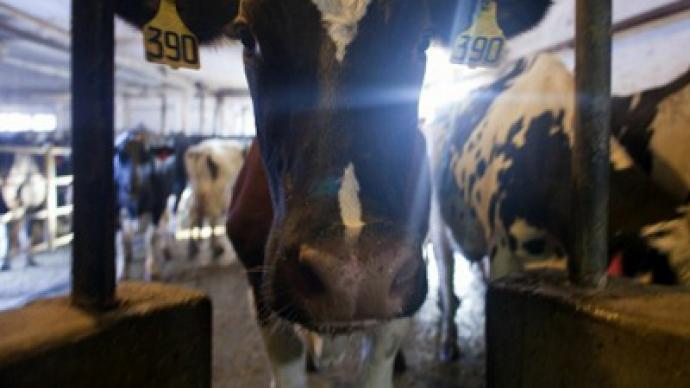 Welcome to the Jungle: States demand secrecy over meat filth and cruelty practices