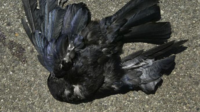 Dead birds fall on New Jersey scaring residents