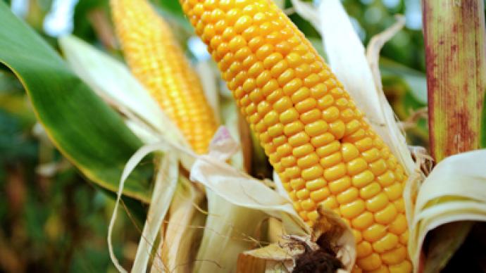 Farmers demand an appeal in Monsanto GMO case