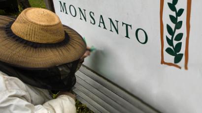 Supreme Court sympathizes with Monsanto in seed patent case 