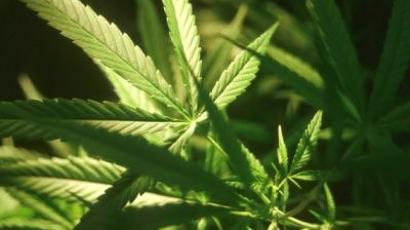 Congress to legalize marijuana?