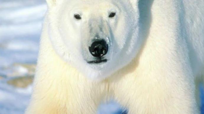 Polarbeargate father must take polygraph test