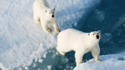 Polarizing proposal: Bye-bye 'Arctic' Ocean, welcome 'Russian'