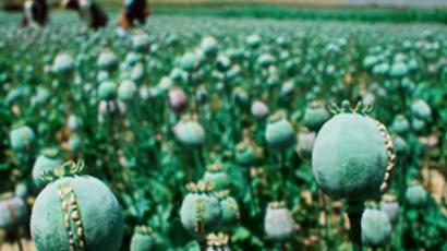 UN report: Russia becomes largest market for Afghan heroin