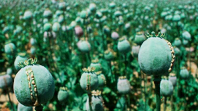Russia fights opium war as US marks 8 years in Afghanistan