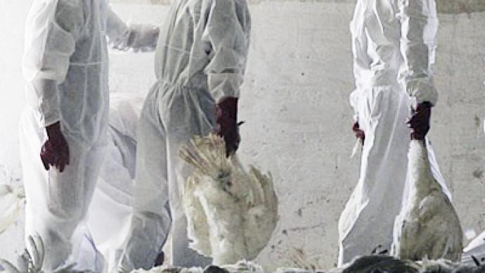 Bird flu mutation study stopped in fear of deadly global outbreak