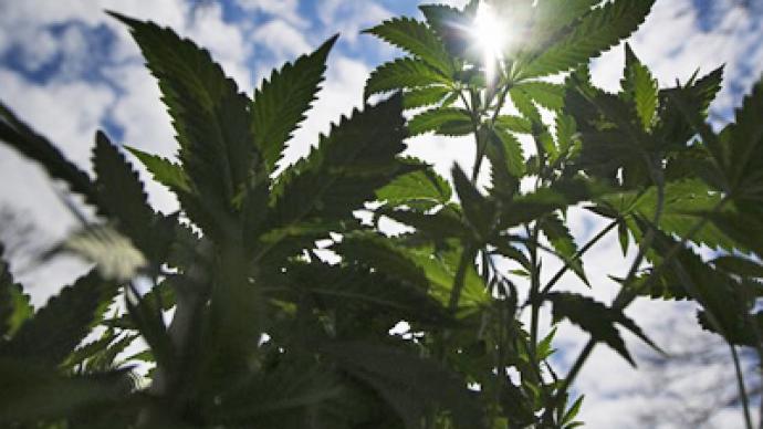 Supreme Court endorses warrantless search based on marijuana smell