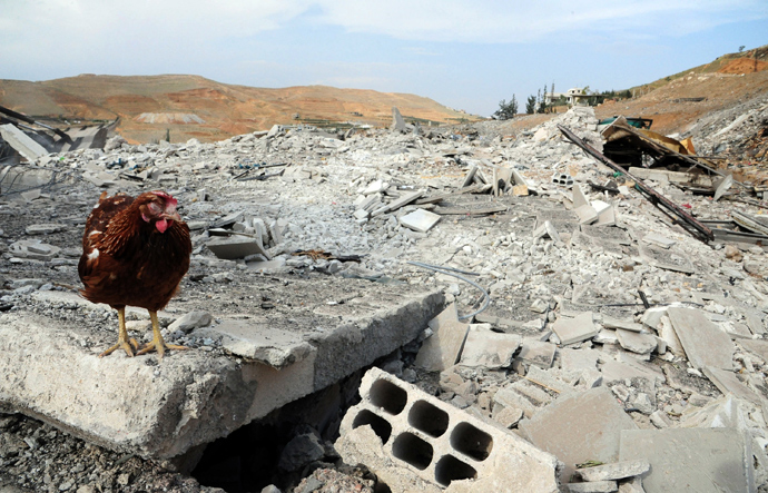 A handout picture released by the Syrian Arab News Agency (SANA) on May 5, 2013, shows a chicken walking on the "the damage caused by an Israeli strike" according to SANA (AFP Photo)