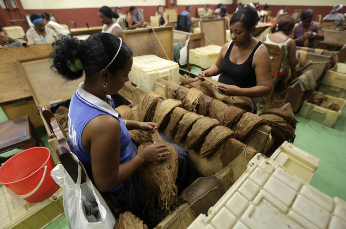 Women sort tobacco leaves at the Corona cigar factory in Havana (Reuters)