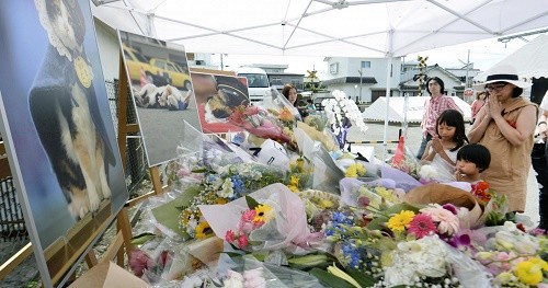 3000 Japonais ont assisté aux funérailles de leur chat préféré, Tama !