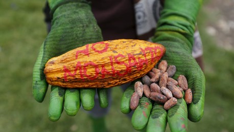 Le roundup de Monsanto est nocif pour la santé