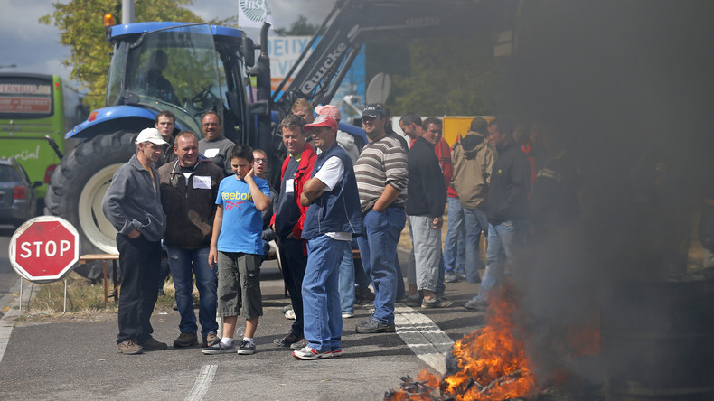 «On ne fait que repousser les problèmes» : les agriculteurs fustigent le plan d'urgence de Hollande