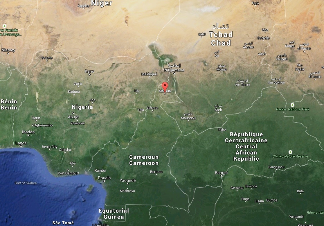 Un double attentat fait 13 victimes au Cameroun (IMAGES PERTURBANTES)