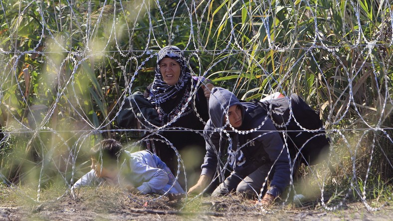 La Hongrie a achevé sa clôture barbelée anti-migrants à la frontière serbe