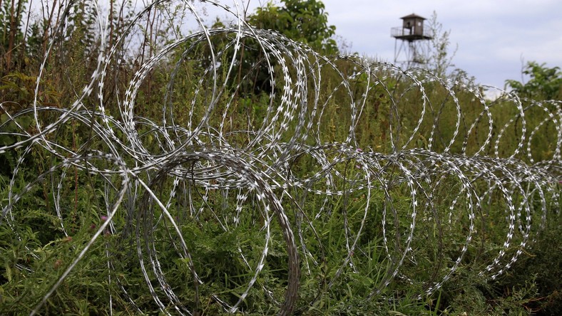 Des sociétés allemandes refusent de vendre les barbelés pour la clôture antiréfugiés hongroise