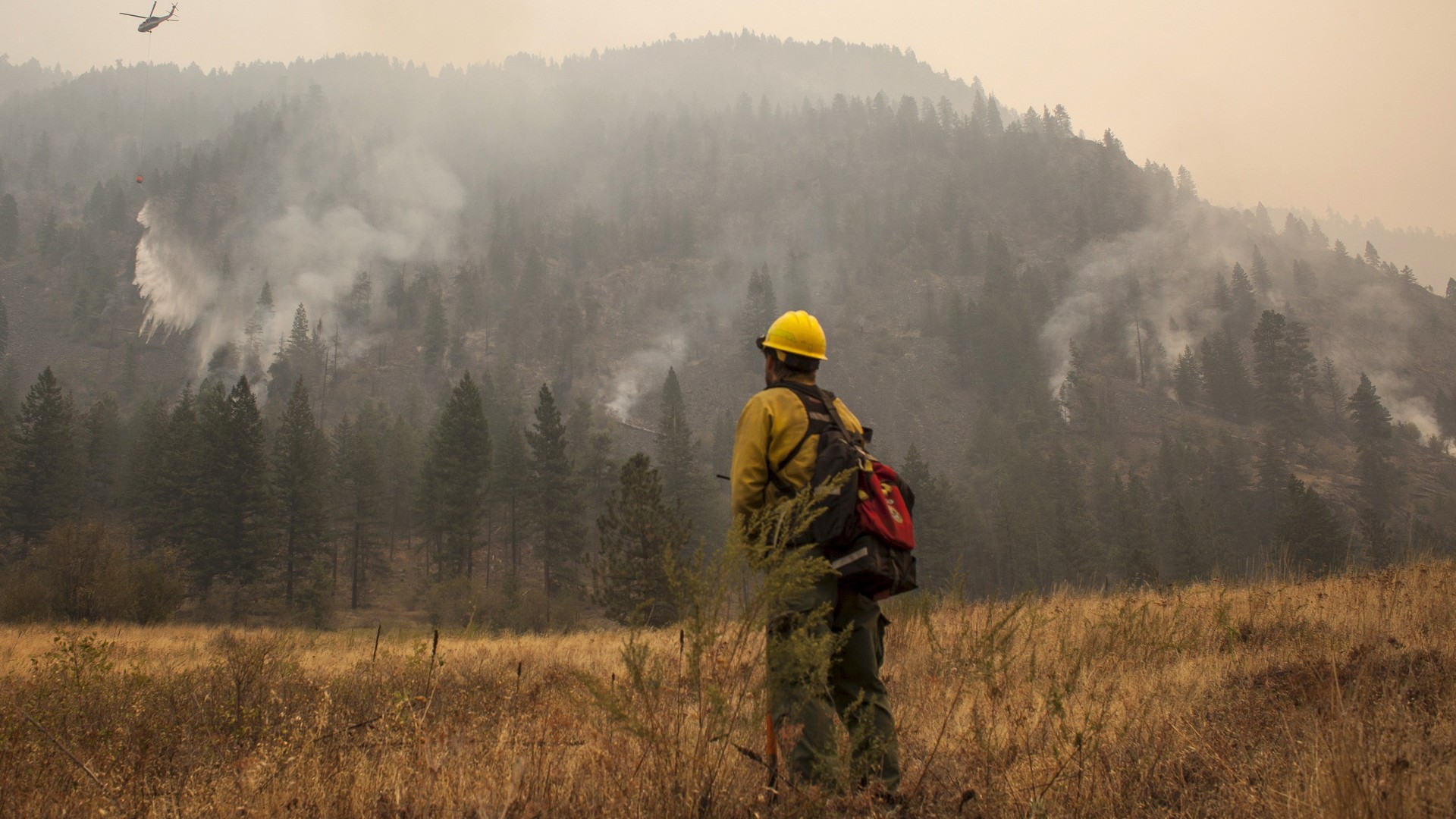 Les feux de forêts les plus chers de l’histoire américaine ?