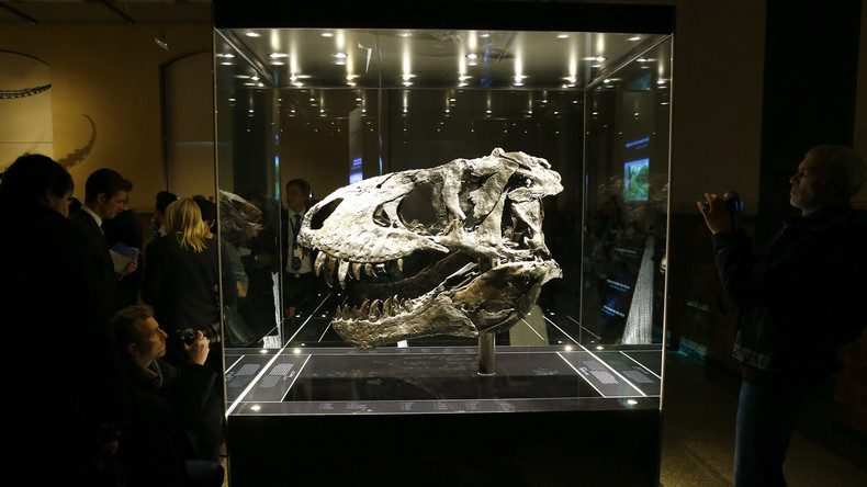 Nicolas Cage restitue à la Mongolie le squelette d'un dinosaure volé