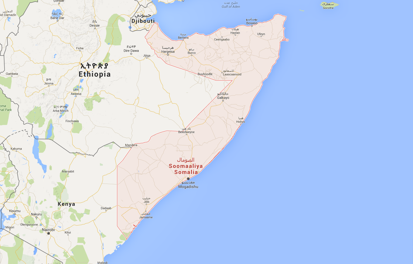 L'Etat islamique recrute 200 anciens combattants d'al-Shebab en Somalie