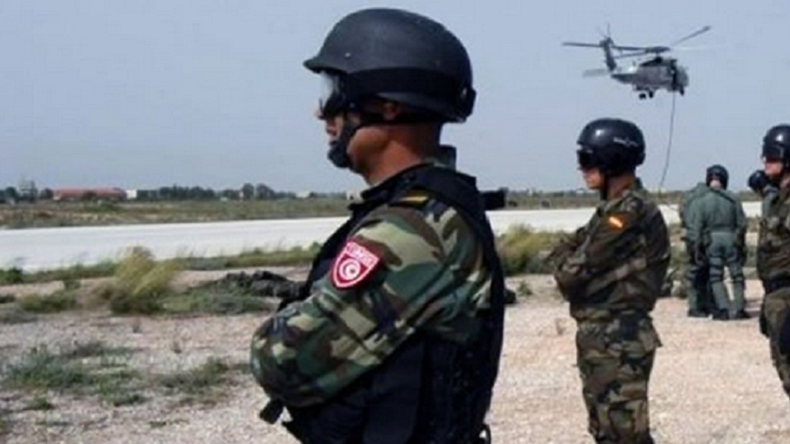 L'Allemagne projette de former les forces armées tunisiennes et libyennes pour lutter contre Daesh