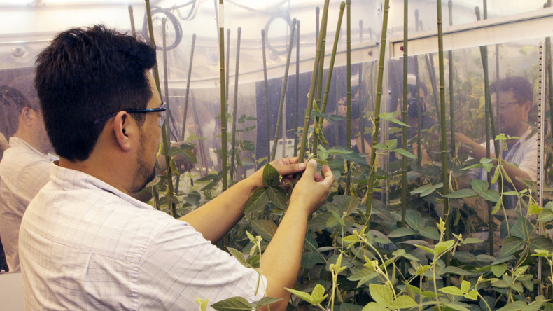 Un nouveau produit de Monsanto s’attaque aux nuisibles ayant développé une résistance aux pesticides