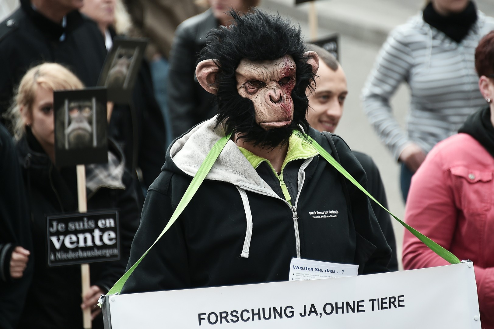 Défense des animaux : une «armée de singes» envahit les rues de Strasbourg  (PHOTOS)