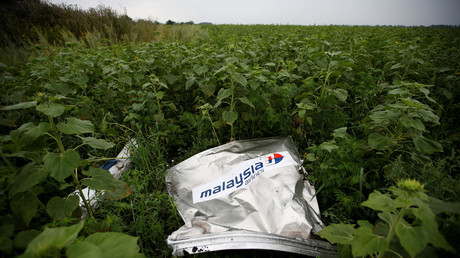 Un débris de l'avion du vol MH17, pris en photo le 18 juillet 2014