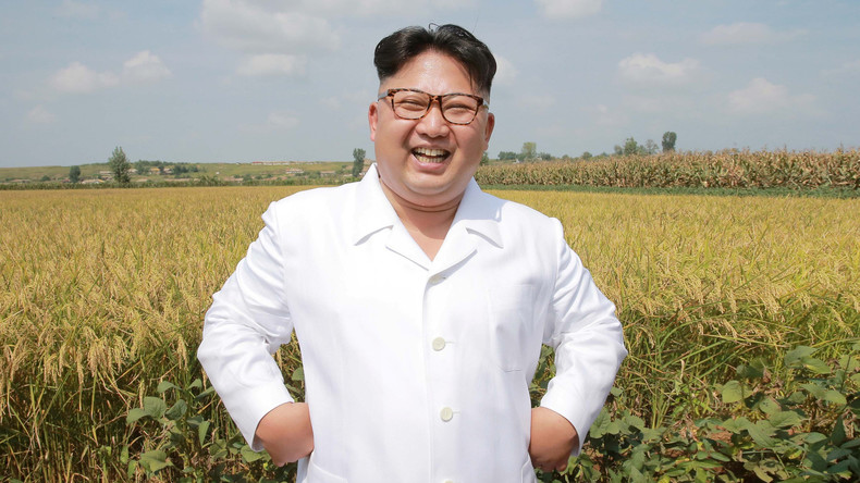 Lassée que les Chinois traitent Kim Jong-un de gros, la Corée du Nord prie la Chine d'agir