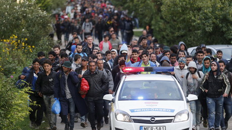 Des migrants sur la route de l'Autriche en 2015