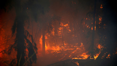 Incendies sans précédent font rage en Israël