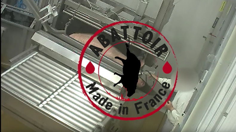 Défense des animaux : les activistes de L214 se font cueillir par les gendarmes en pleine action