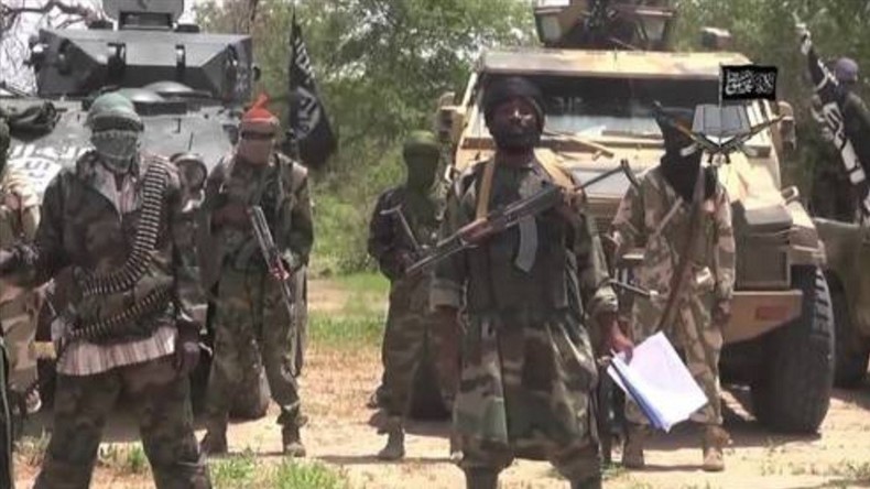 Boko Haram «écrasé» ? «Vous ne devriez pas mentir aux gens» répond son chef en vidéo